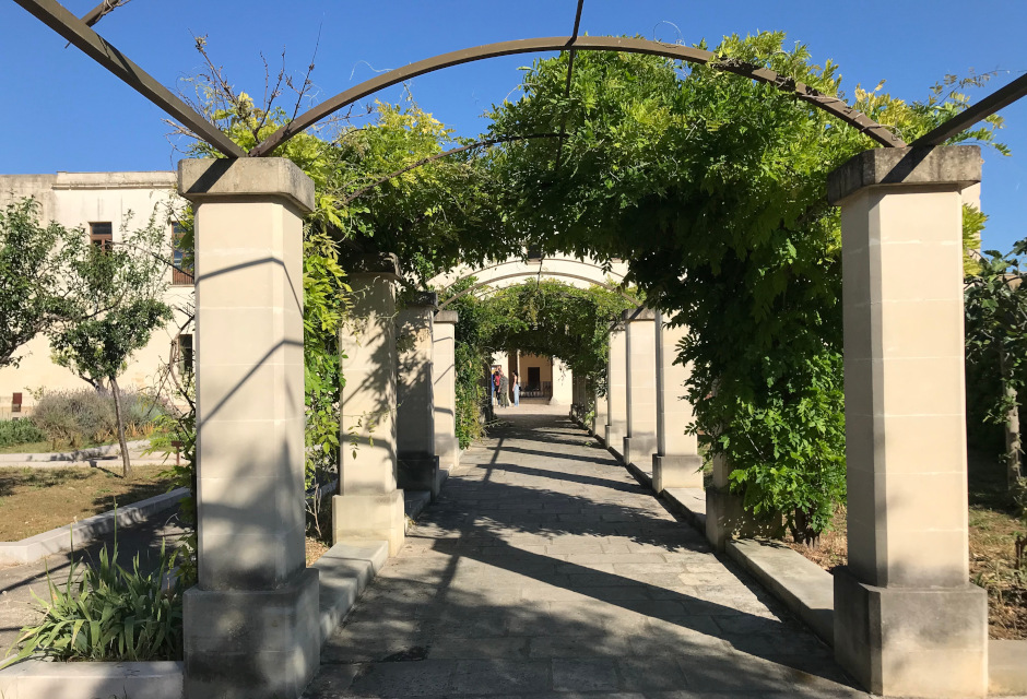 Biblioteca OgniBene, pergolato dell'orto